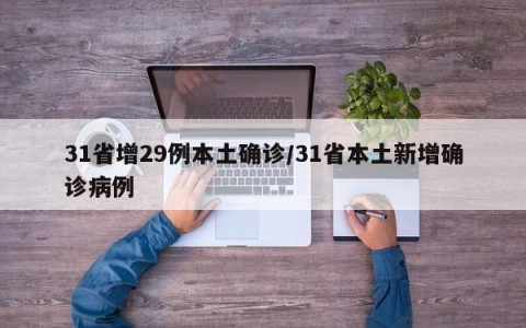 31省增29例本土确诊/31省本土新增确诊病例