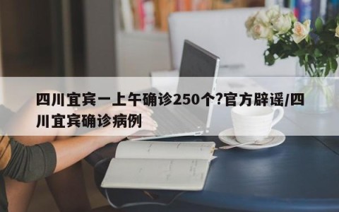 四川宜宾一上午确诊250个?官方辟谣/四川宜宾确诊病例