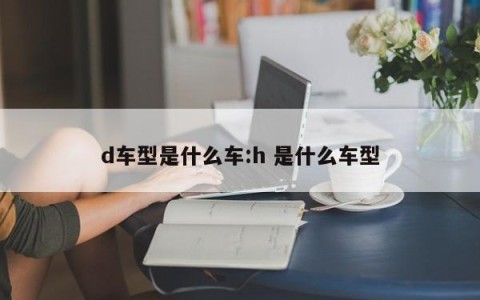 d车型是什么车:h 是什么车型