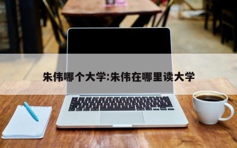 朱伟哪个大学:朱伟在哪里读大学