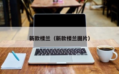 新款楼兰（新款楼兰图片）