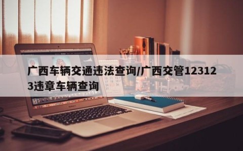 广西车辆交通违法查询/广西交管123123违章车辆查询