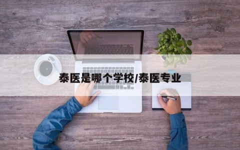泰医是哪个学校/泰医专业