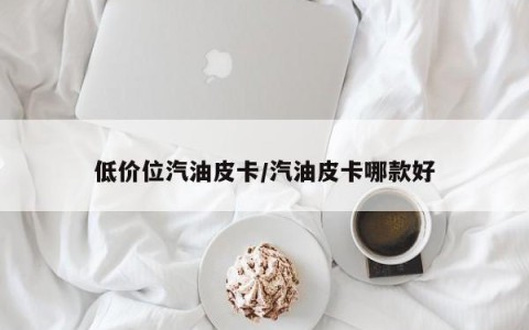 低价位汽油皮卡/汽油皮卡哪款好