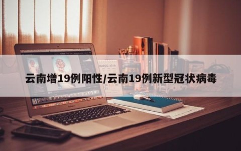 云南增19例阳性/云南19例新型冠状病毒