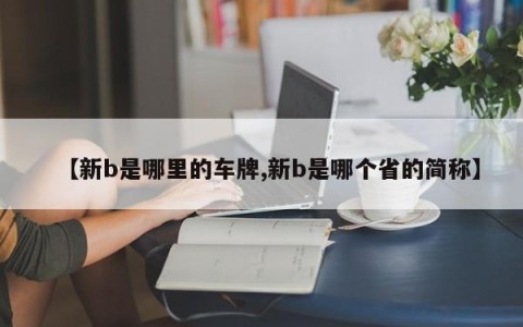 【新b是哪里的车牌,新b是哪个省的简称】